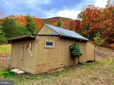 38 Gray Squirrel, Moorefield, WV, 26836