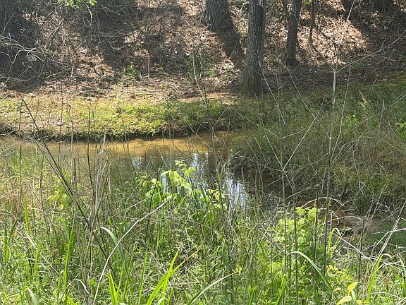 2nd image of 0 Mastin Lake Stringfield Rd