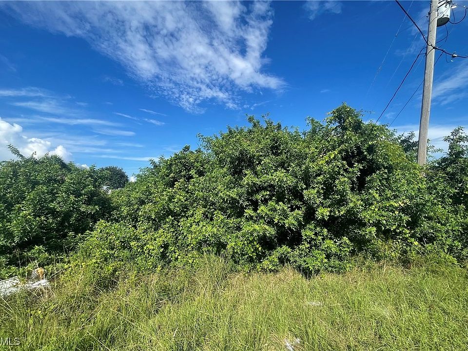 2nd image of 1001 Chadbourne Ave