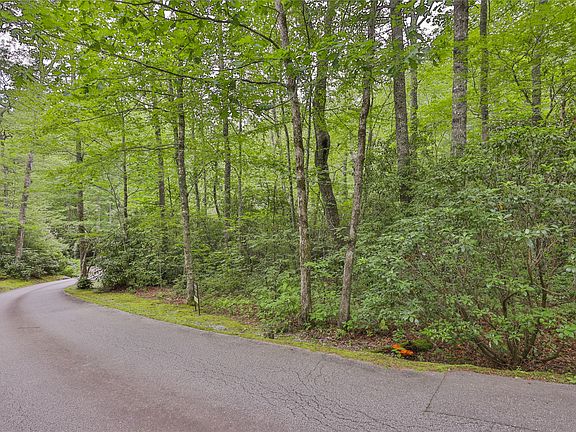 2nd image of Lot 1B Streamside Drive