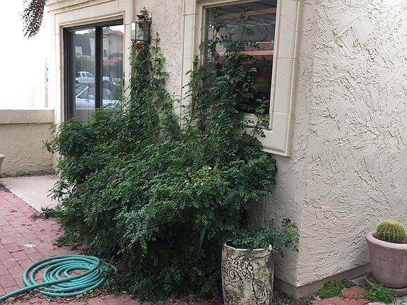 3rd image of 2322 S Rogers Cir #47