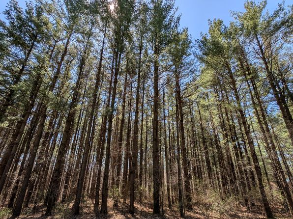 3665 Arivaca Dr, Millington, MI 48746