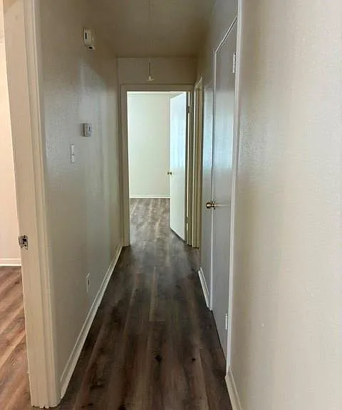 1805 Thelma Ln — Photo 25