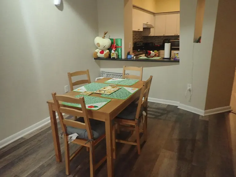 520 S Armenia Ave #1217 — Photo 11