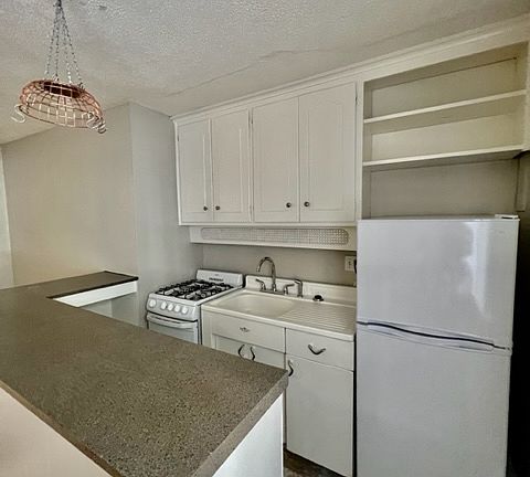 4th image of 1010 N Corona St #209