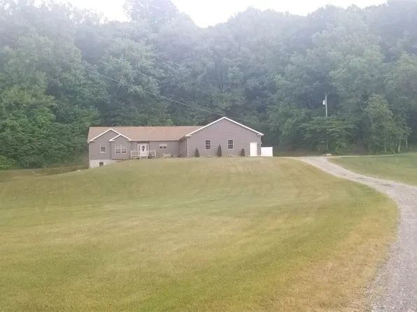 10994 Peck Rd, Mantua, OH 44255