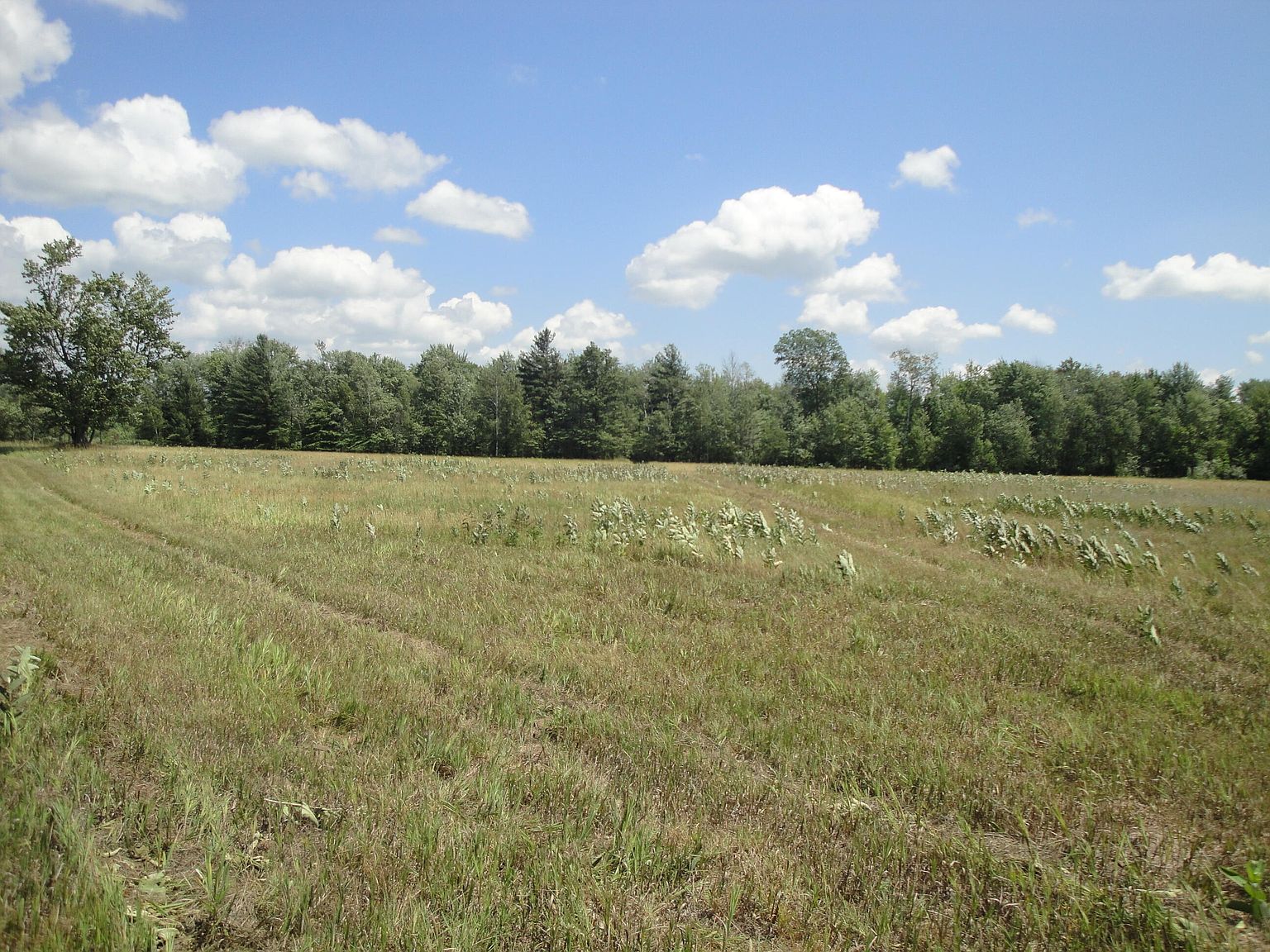 5860 Maple Island Rd PARCEL C, Nunica, MI 49448 | Zillow