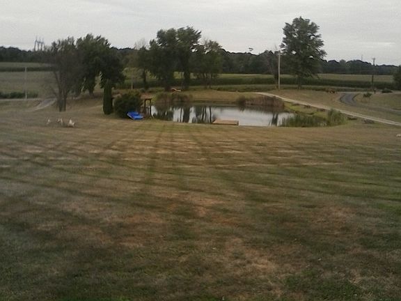 1\2 acre pond