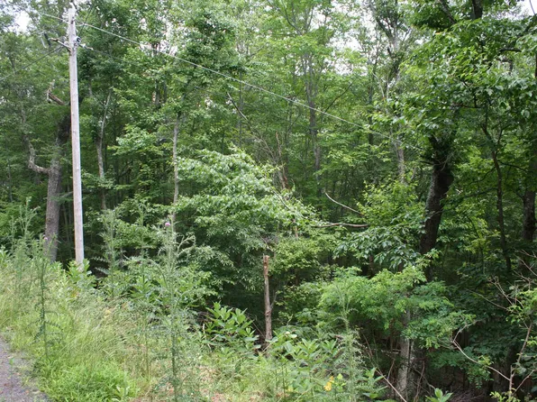 41 High Valley Dr S, Monterey, VA 24465