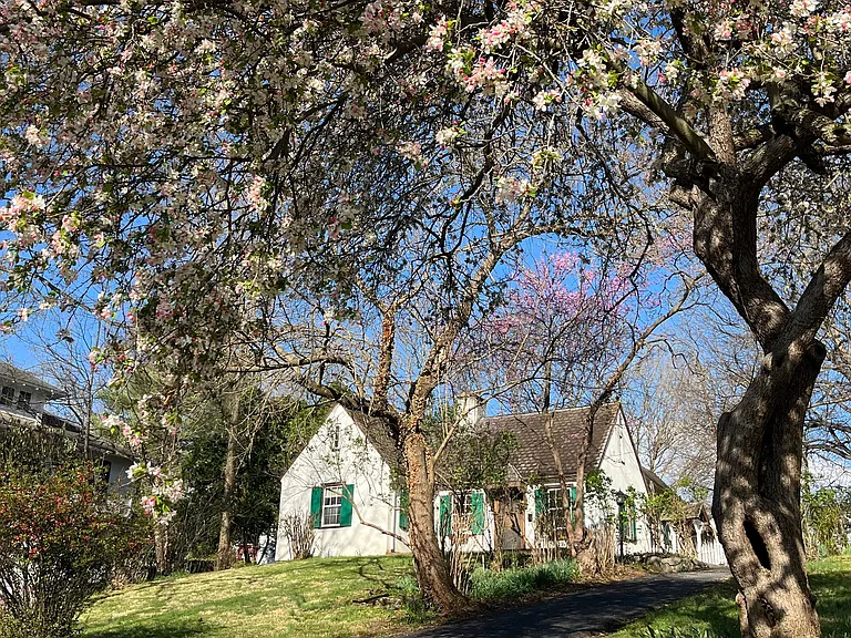 Sherwood Ln — Photo 16
