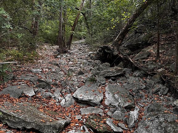 3rd image of 5780 Sand Rock Rd