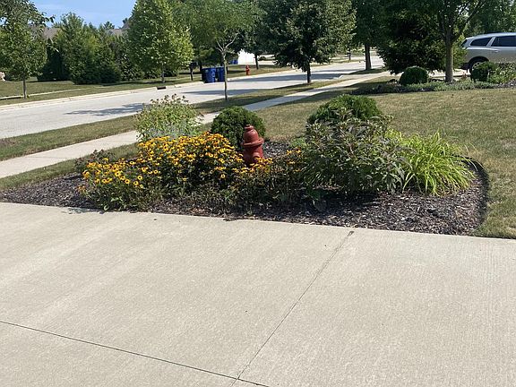 4th image of 617 Evergreen TERRACE