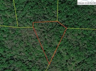 Ed Williams Rd, Zionville, NC 28698