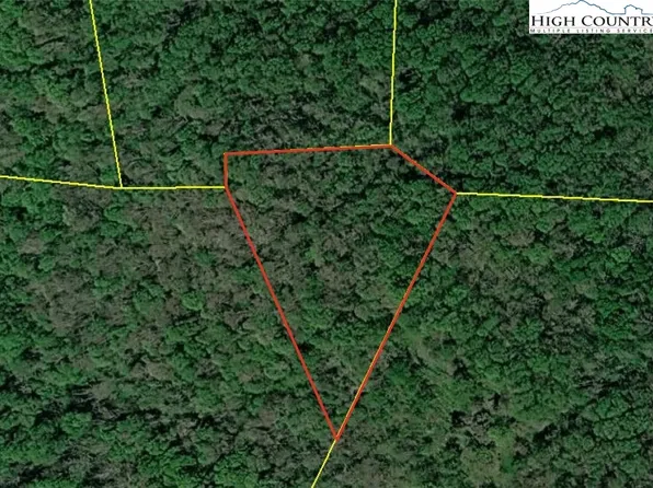 TBD Ed Williams Road, Zionville, NC 28698