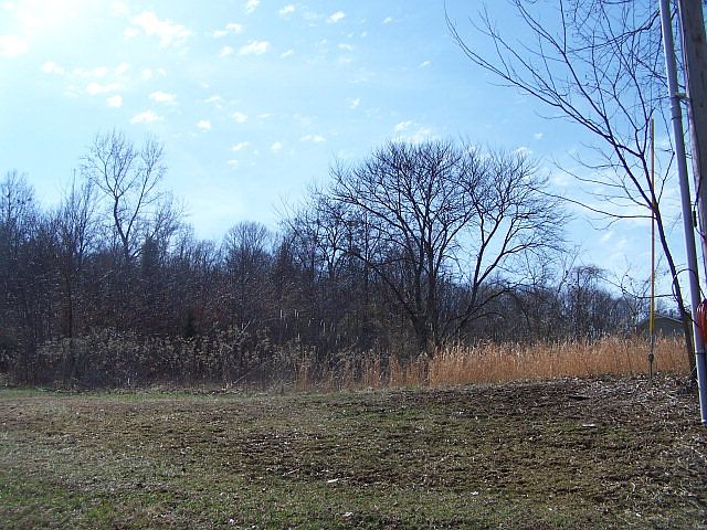 2nd image of 553 The Lane Rd