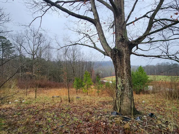 6 Blaylock Ln, Palmer, TN 37365