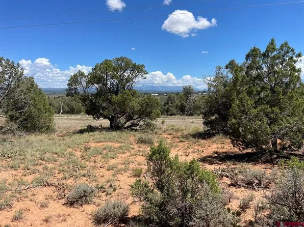 Lot 4 Road 24.3, Cortez, CO 81321