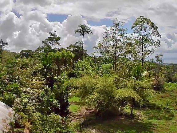 5th image of 13-3980 Pahoa Kalapana Rd