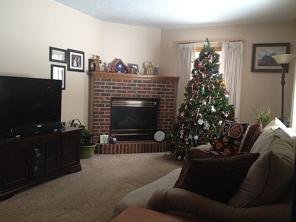 Living Room / Fire Place