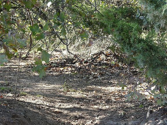 5th image of 1746 Dog Kennel Rd
