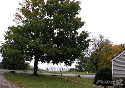 View of Front Yard