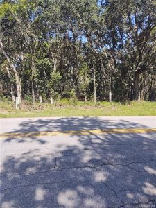904 N Seton Ave, Lecanto, FL, 34461