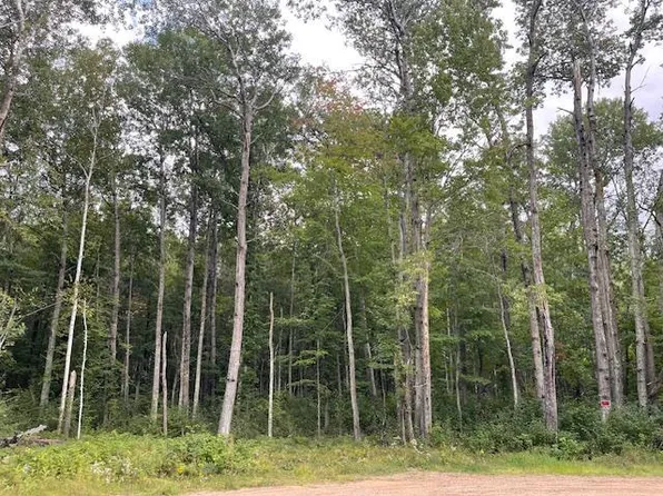 0 Levi Ln, Crosslake, MN 56442