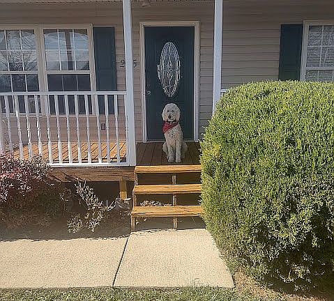 2nd image of 235 Fairridge Rd