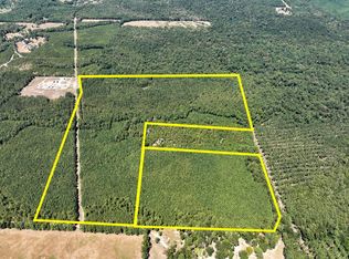 Joskey Dykes Rd, Zavalla, TX 75980