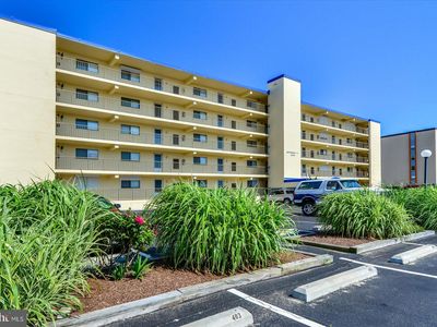 13001 Wight St UNIT 203, Ocean City, MD, 21842