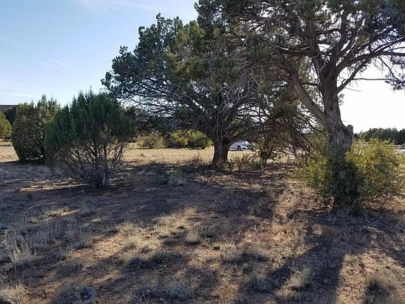2nd image of 13511 N Warpaint Pl