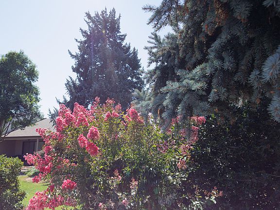 3rd image of 228 Mount Echo Dr