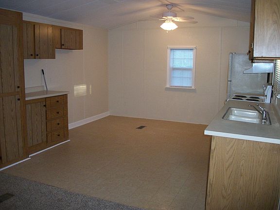 new ceiling fans/light