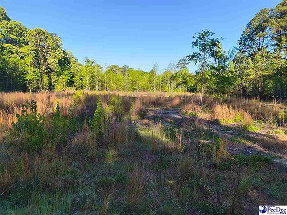 2nd image of 1200 Whippoorwill Rd