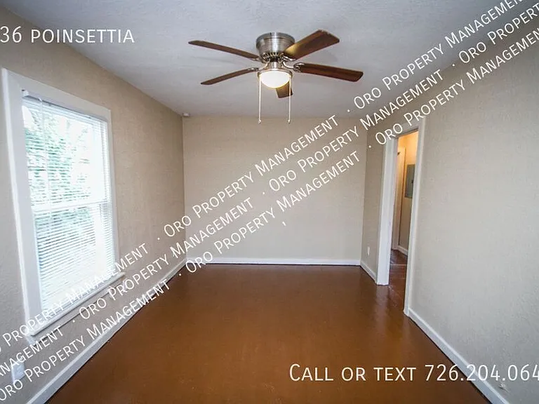 936 Poinsettia — Photo 4