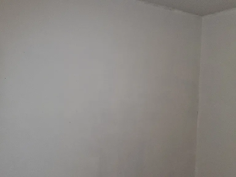 14323 Hanging Moss Cir — Photo 2