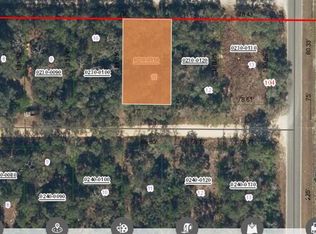 0 Saddle Trl #11, Interlachen, FL 32148