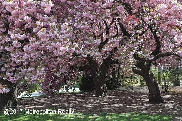 Rented by Metropolitan Realty | media 9