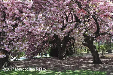 Rented by Metropolitan Realty