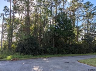 14 Ehrling Ln, Palm Coast, FL 32164
