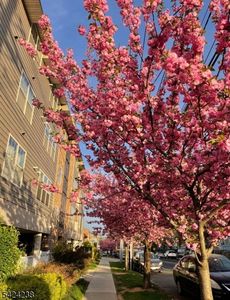 594-596 Jefferson Ave #203, Elizabeth, NJ, 07201