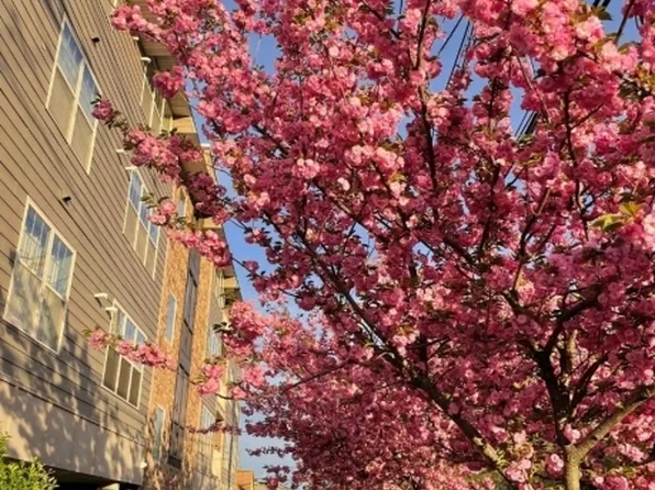 594-596 Jefferson Ave #203, Elizabeth City, NJ 07201