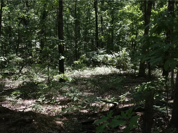 11 Kettering Ln #11, Bella Vista, AR 72714