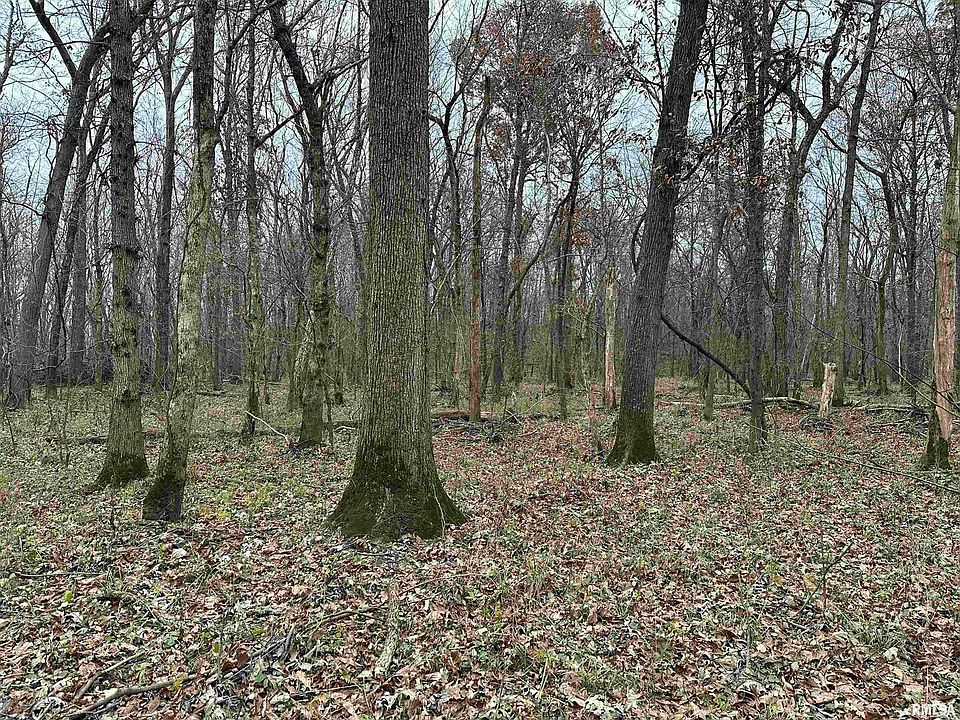 2nd image of 0 Seavers Rd