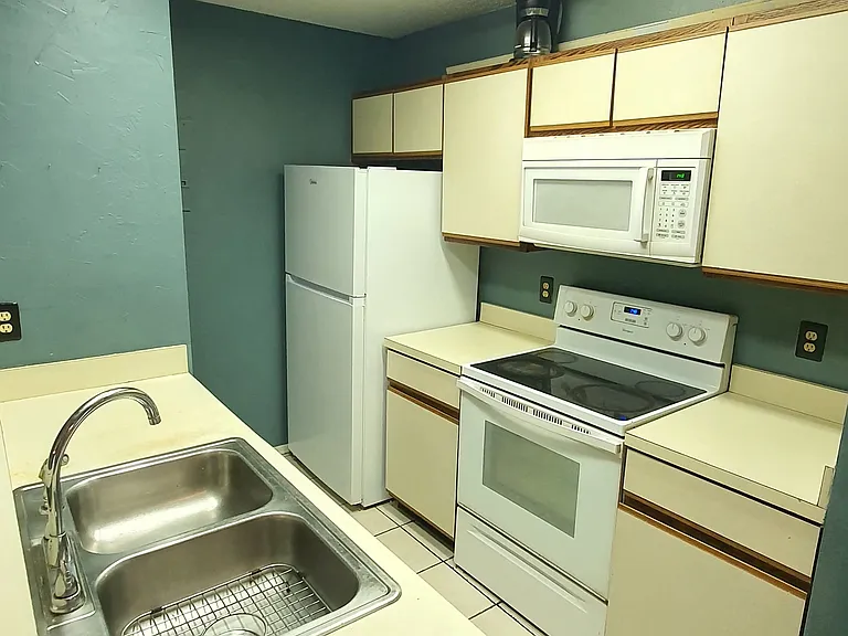 537 Sun Ridge Pl #201 — Photo 6