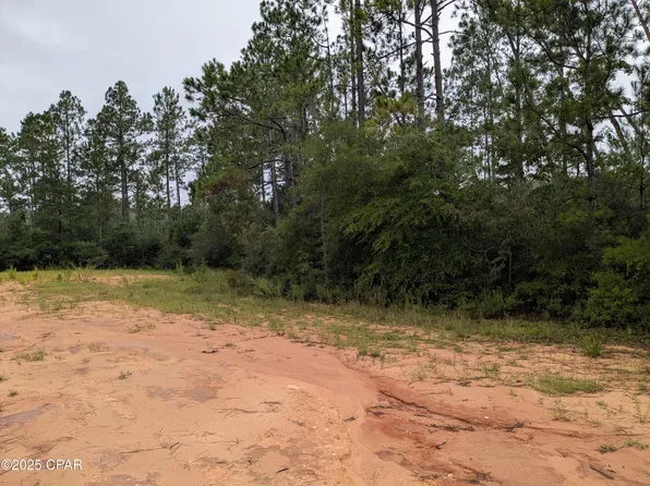 0 Deshutes Dr, Alford, FL 32420