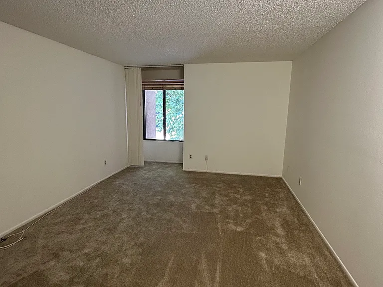 424 Oak St #227 — Photo 4