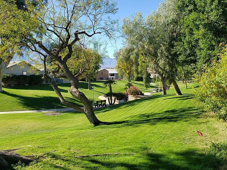 15300 Palm Dr #108 — Photo 20