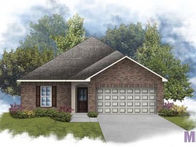 13991 Rosewell St, Denham Springs, LA, 70726
