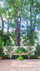 Rented by Grand & Co.